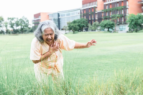 Ασιάτισσες Ηλικιωμένες Γυναίκες Ασθενείς Υποφέρουν Από Στηθάγχη Λόγω Καρδιακών Παθήσεων — Φωτογραφία Αρχείου