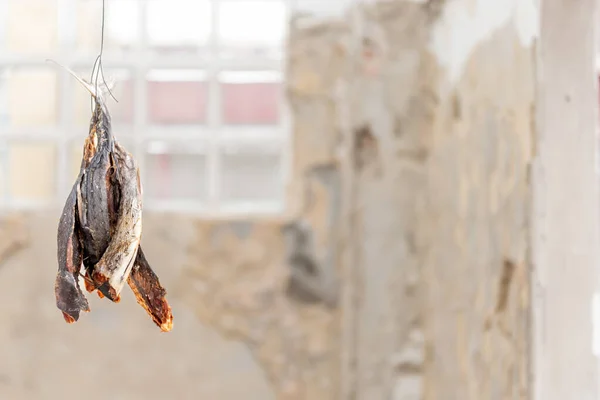 Dried fish, as food preservation To be stored for a long time, to hanging by a rope to dry in the sun and wind, with blur background, to food preservation concept.