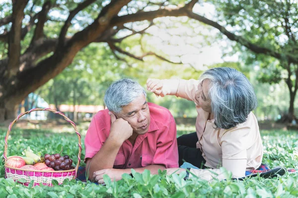 Asiática Pareja Ancianos Atractiva Esposa Marido Acostado Relajante Césped Verde — Foto de Stock