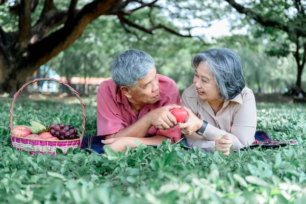 Азиатская Пожилая Пара Привлекательная Жена Муж Лежа Расслабляясь Зеленой Лужайке — стоковое фото