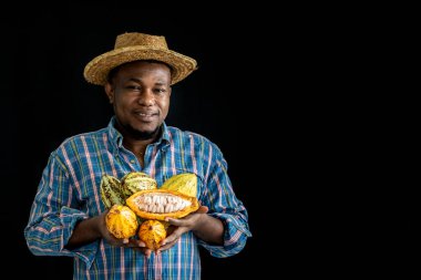 Afrikalı bir ünlü, siyah arka planda, işlemden önce insanlara ve kakao meyvelerine taze kakao tutuyor ve gösteriyor..