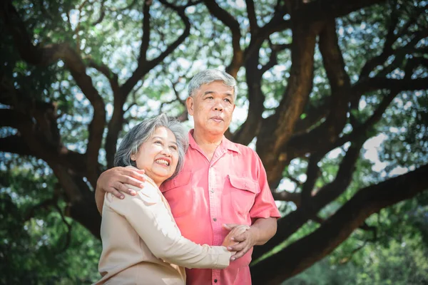 Азиатская Пожилая Пара Стоящая Большим Деревом Счастливы Пожилые Релаксации Парке — стоковое фото