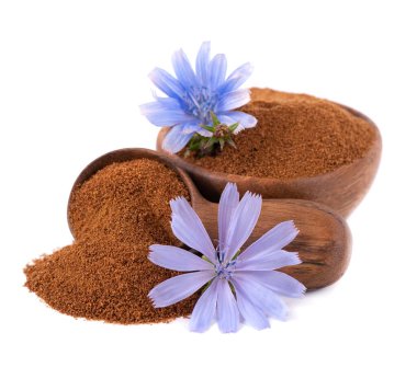 Beyaz arka planda izole edilmiş ahşap kase ve kaşıkta hindiba tozu ve çiçek. Cichorium İntybus.