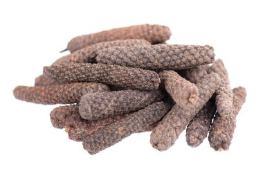 Beyaz arka planda izole edilmiş uzun biber. Pippali yığını mı yoksa kavalcı mı?.