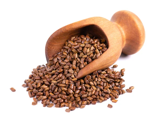 Beyaz arka planda izole edilmiş tahta kepçeli Cassia tora fasulyesi. Sicklepod ya da Senna obtusifolia. Kesme yolu.