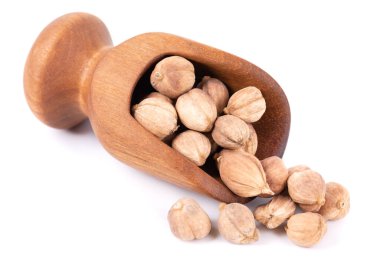 Beyaz arka planda izole edilmiş beyaz kakule kapsülleri. Kapulaga Jawa ya da Java kakule. Amomum kepulaga. Kesme yolu.