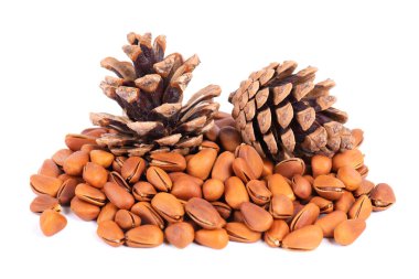 Beyaz arka planda çam fıstığı var. Çam kozalakları ve kabuklu kavrulmuş çam fıstığı yığını.