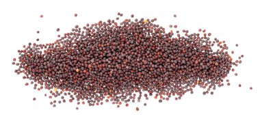 Beyaz arka planda siyah hardal tohumları. Üst görünüm.