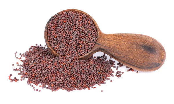Black mustard seeds in wooden spoon, isolated on white background. — Stock Photo, Image