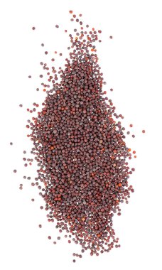 Beyaz arka planda siyah hardal tohumları. Üst görünüm.