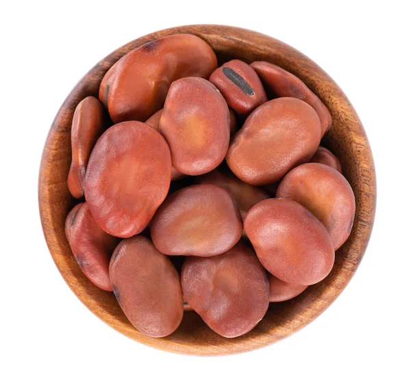 Broad beans in wooden bowl, isolated on white background. Dry fava beans. Top view. — 图库照片