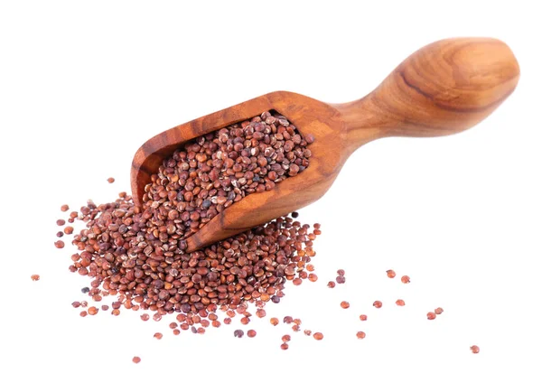 Semi di quinoa rossa in paletta di legno, isolati su fondo bianco. Mucchio di kinwa grezzo. — Foto Stock