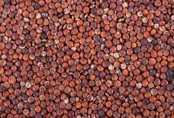 Fundo Sementes Quinoa Vermelha Pilha Kinwa Cru Vista Superior — Fotografia de Stock