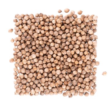 Kişniş tohumları beyaz arka planda izole edilmiş. Cilantro tahılı. Organik baharat. Üst görünüm