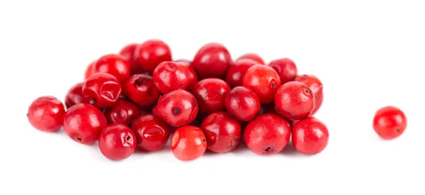 Pink Peppercorns Isolated White Background Dry Red Pepper Grain Organic Stock Photo