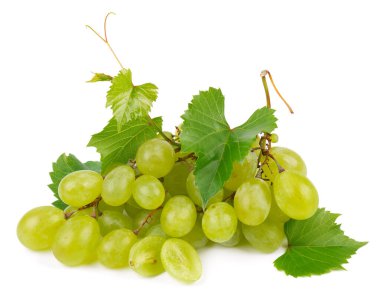 Beyaz arka planda izole edilmiş yeşil üzümler. Yapraklı taze organik üzümler.