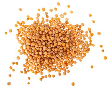 Beyaz arka planda izole hardal tohumları. Kuru hardal taneleri. Üst görünüm