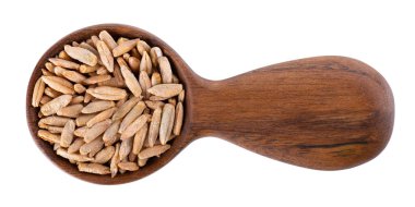 Beyaz arka planda izole edilmiş çavdar taneleri. Ahşap kaşıkta çavdar viskisi tohumu. Kuru çavdar taneleri. Üst görünüm