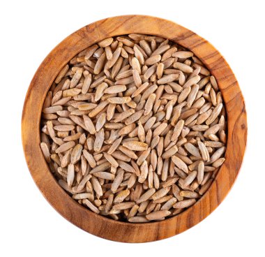 Beyaz arka planda izole edilmiş çavdar taneleri. Zeytin kabında çavdar tohumu tohumu yığını, yakın çekim. Kuru çavdar taneleri. Üst görünüm