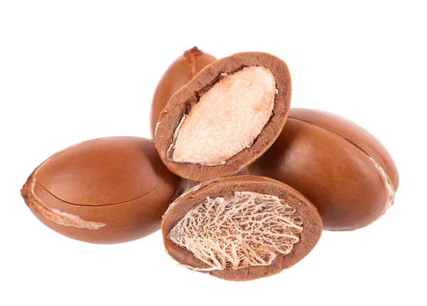 Argan Frön Isolerad Vit Bakgrund Naturliga Argannötter Från Marocko Det — Stockfoto