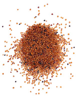 Beyaz arka planda izole edilmiş kanihua taneleri. Qaniwa, qanawa, qanawi veya kaniwa tohumları yığını. Chenopodium pallidicaule 'un kuru taneleri. Üst görünüm