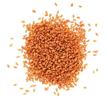 Beyaz arka planda izole edilmiş kamelina sativa tohumları. Kamelina tohumları ya da sahte keten. Camelina yağı üretimi için ham madde. Üst görünüm