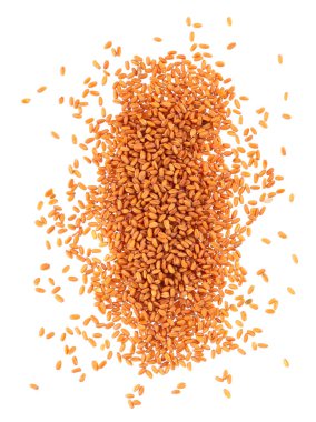 Beyaz arka planda izole edilmiş kamelina sativa tohumları. Kamelina tohumları ya da sahte keten. Camelina yağı üretimi için ham madde. Üst görünüm