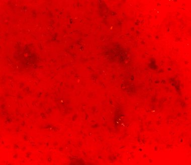 Çilek reçeli arka planı. Kırmızı böğürtlen ziyareti. Üst görünüm