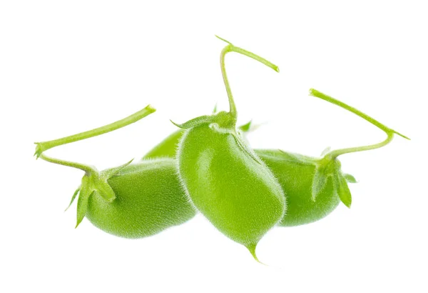 Green Chickpeas Pod Isolated White Background Cicer Arietinum Clipping Path — ストック写真