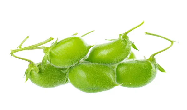 Green Chickpeas Pod Isolated White Background Cicer Arietinum Clipping Path — ストック写真
