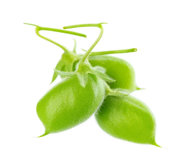 Green Chickpeas Pod Isolated White Background Cicer Arietinum Clipping Path — ストック写真