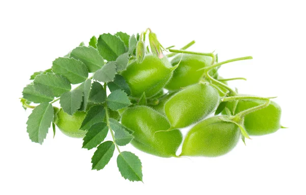 Green Chickpeas Pod Green Leaves Isolated White Background Cicer Arietinum — Stok Foto