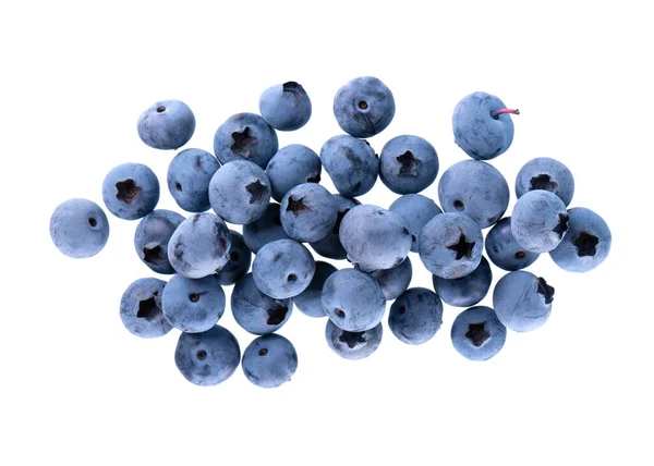 Fresh Blueberry Isolated White Background Bilberry Whortleberry Clipping Path Top — Φωτογραφία Αρχείου