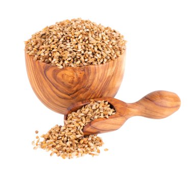 Utsho suneli seeds in wooden bowl and spoon, isolated on white background. Trigonella caerulea or blue fenugreek