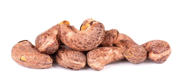 Cashew Nuts Shell Isolated White Background Roasted Salted Cashew Nuts — 스톡 사진