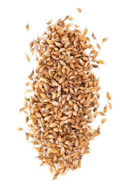 Utsho suneli seeds isolated on white background. Trigonella caerulea or blue fenugreek. Spices and herbs. Top view