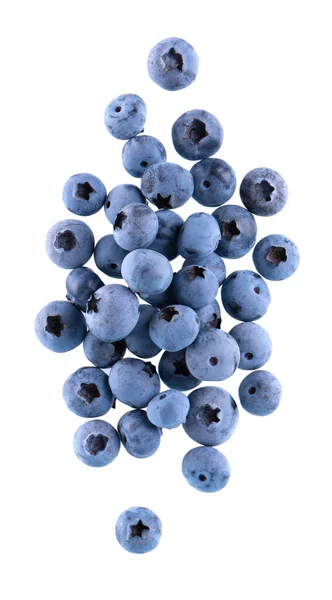 Fresh Blueberry Isolated White Background Bilberry Whortleberry Clipping Path Top — Zdjęcie stockowe