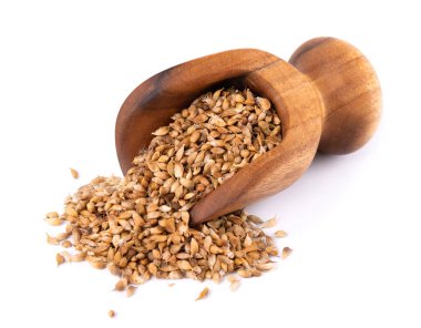 Utsho suneli seeds in wooden scoop, isolated on white background. Trigonella caerulea or blue fenugreek. Top view