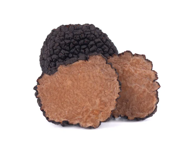 Black Truffles Isolated White Background Fresh Sliced Truffle Delicacy Exclusive — Stock Photo, Image