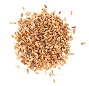 Utsho suneli seeds isolated on white background. Trigonella caerulea or blue fenugreek. Spices and herbs. Top view