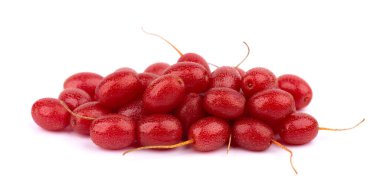 Elaeagnus multiflora beyaz arka planda izole edilmiş. Kirazlı elaeagnus, kiraz gümüşü, gumi ya da gumi üzümü.