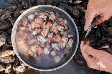 Genç adam midye temizliyor.