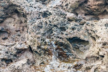 Deniz kenarındaki göktaşı benzeri kayalar.