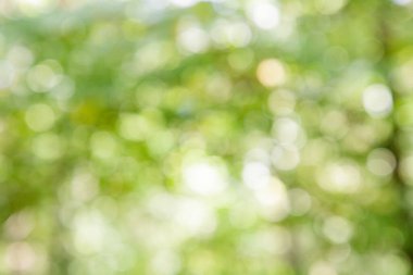 arka planı için yeşil renk bulanıklık