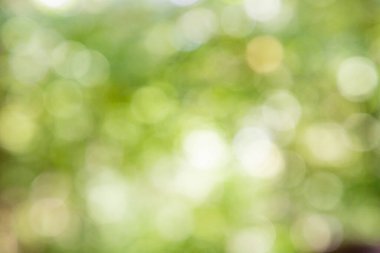 arka planı için yeşil renk bulanıklık