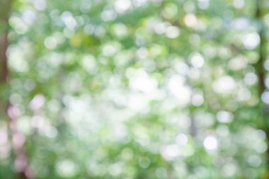 arka planı için yeşil renk bulanıklık