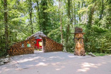 Orman kütüphanesi Kocaeli şehir merkezine uzak Ormanya gezi parkında, 15 Temmuz 2021, İzmit, Kocaeli, Türkiye