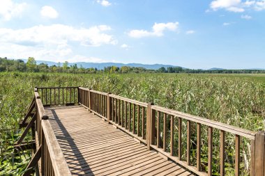 Duzce, Turkey- Ausugust 2022; A pleasant trip to Efteni lake. Efteni lake is quite a visit to the stream. 