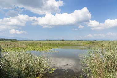 Duzce, Turkey- Ausugust 2022; A pleasant trip to Efteni lake. Efteni lake is quite a visit to the stream. 