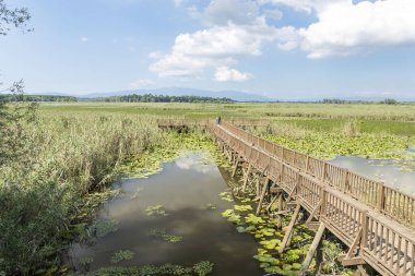 Duzce, Turkey- Ausugust 2022; A pleasant trip to Efteni lake. Efteni lake is quite a visit to the stream. 